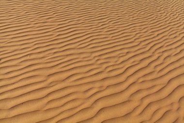 Çöl gündüz manzarası, doğal arka plan 