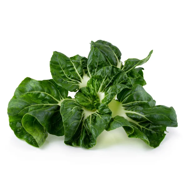 Salatblätter Isoliert Auf Weißem Hintergrund — Stockfoto