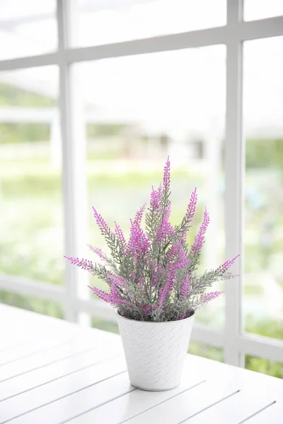 Fleur Violette Pot Beau Fond Floral — Photo