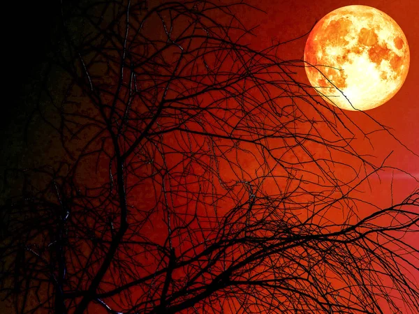 Cielo Nocturno Luna Concepto Astrología —  Fotos de Stock
