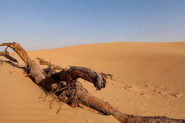 Desert Dagtid Naturlig Bakgrund — Stockfoto
