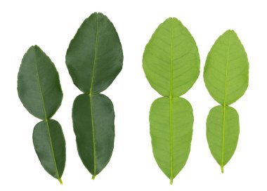 Beyaz arkaplanda Bergamot izole edilmiş.