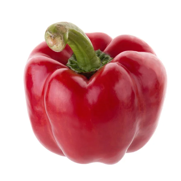 Red Pepper Shooted Isolated White Background — Stok Foto