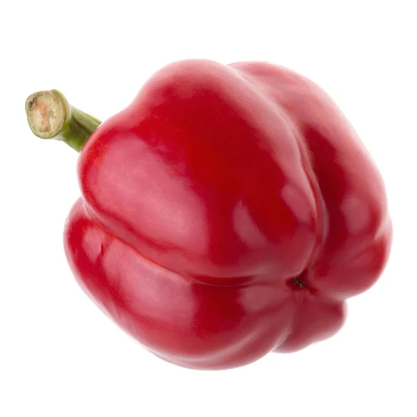 Red Pepper Shooted Isolated White Background — Fotografia de Stock