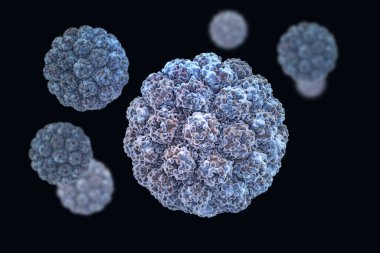 Moleküler dijital görüntü Murine poliomavirüs 