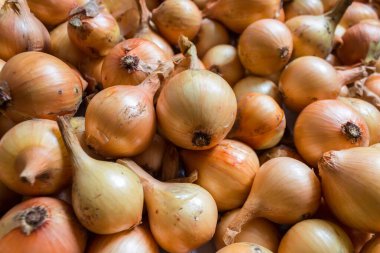Soyulmamış taze soğanların yakın görüntüsü