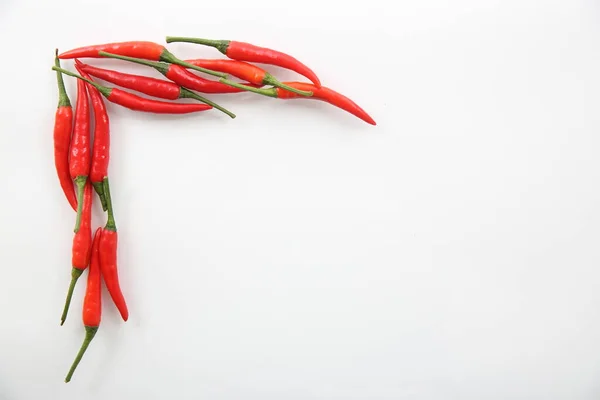 分离与空间的白色背景上的红辣椒 — 图库照片