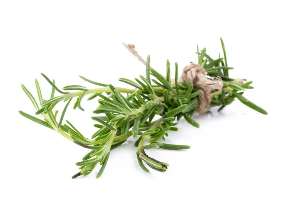Rosemary Herbs Medicinal Herbs Organické Léčivé Byliny — Stock fotografie