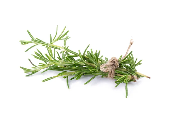 Rosemary Herbs Medicinal Herbs Organické Léčivé Byliny — Stock fotografie