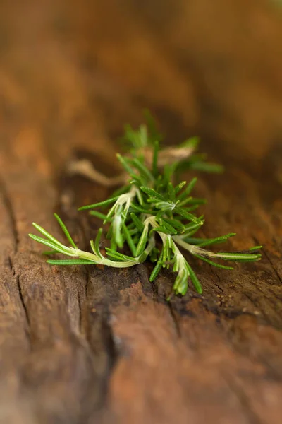 Rosemary Herbs Medicinal Herbs Organic Healing Herbs — Stock Photo, Image