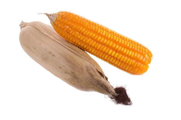 在白色背景上分离的干玉米 — 图库照片