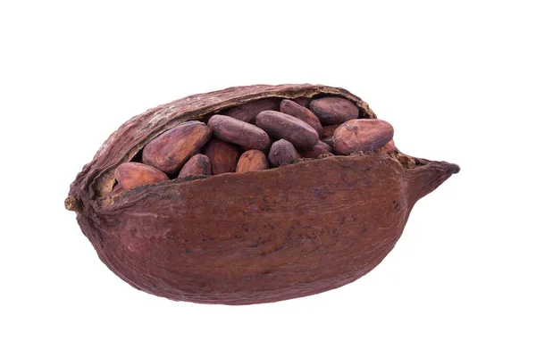 Kakaoschoten Und Bohnen Isoliert Auf Weißem Hintergrund — Stockfoto