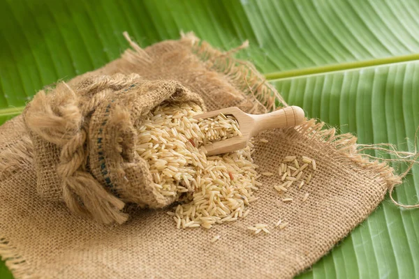Brown Rice Sacks Banana Leaves — Foto Stock