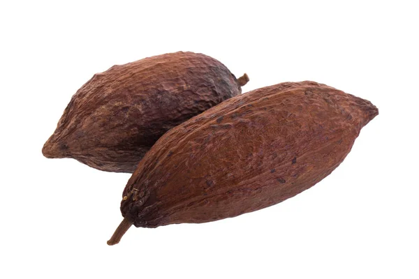 Getrocknete Kakaoschoten Auf Weißem Hintergrund — Stockfoto