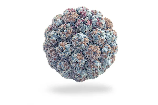 Molecular Digital Image Murine Polyomavirus — Stock Photo, Image