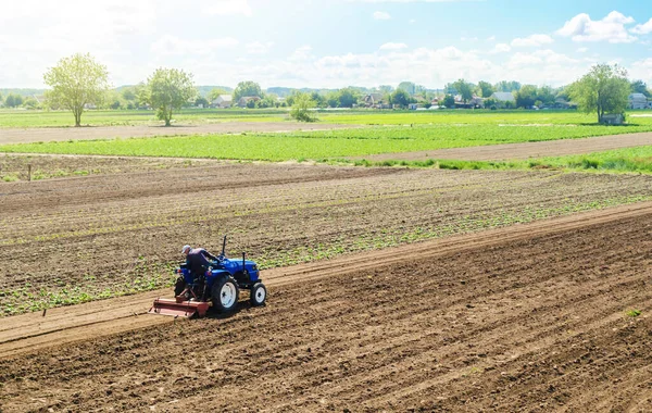 Farmer Tractor Cultivates Farm Field Field Preparation New Crop Planting — Stock Photo, Image