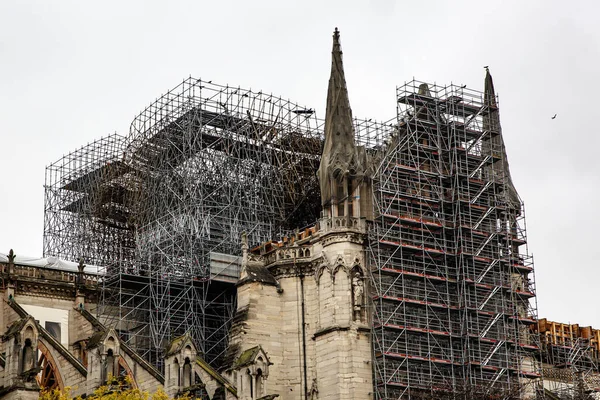 París Francia Noviembre 2019 Notre Dame Paris Reconstrucción Después Del — Foto de Stock