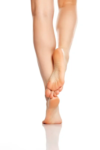 Beautiful Female Legs White Background — Stock Photo, Image