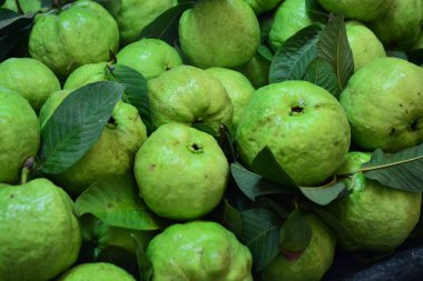 Guava meyvesi, yaklaş. 