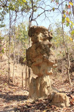 Doğada toprak sütunları bulundu.