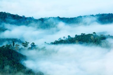 Güzel manzara manzarası. Doğa arkaplanı