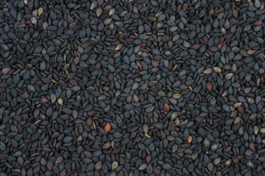 Siyah susam tohumları, yaklaşın.