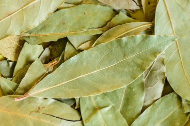 Kuru Laurel Yaprakları Yemek için 