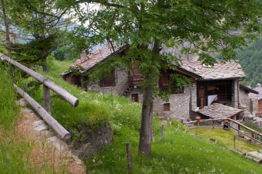 İtalya, Aosta Vadisi 'ndeki Grand Paradis Parkı