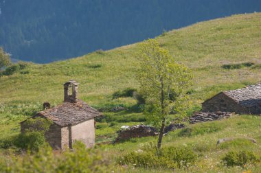 İtalya, Aosta Vadisi 'ndeki Grand Paradis Parkı
