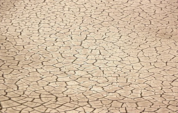 湖の乾燥下 — ストック写真
