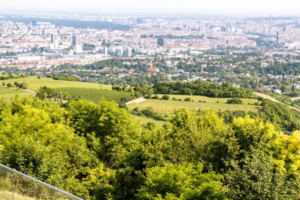 Вена Столица Австрии Вид Холма — стоковое фото