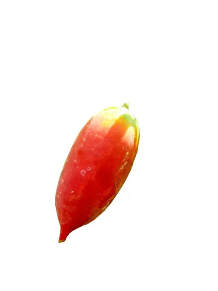 Coccinia Grandis Timun Merah Kemarungan Sarmaşık Kabağı Kırmızı Kabak Tindora — Stok fotoğraf