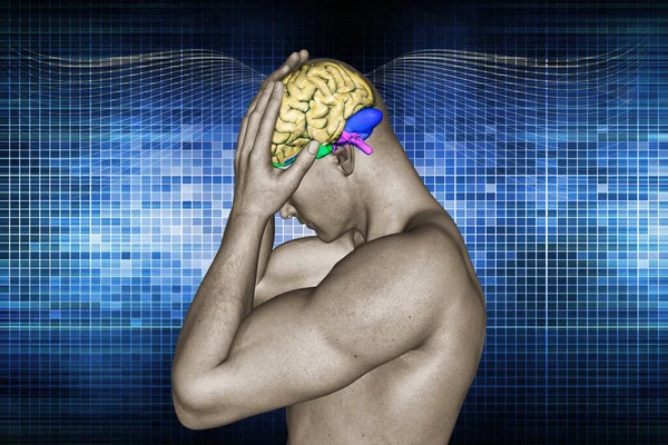 Ilustración Digital Cerebro Humano —  Fotos de Stock