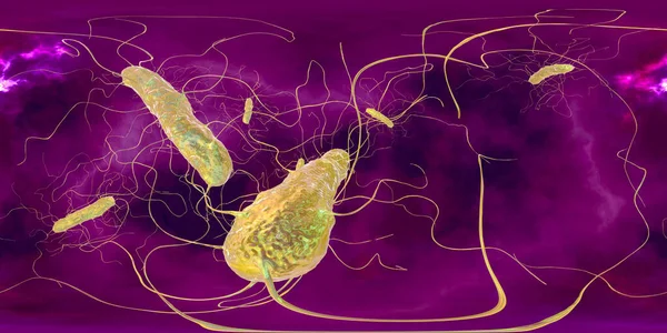 Clostridium Difficile Baktérium 360 Fok Gömb Panoráma Nézet — Stock Fotó