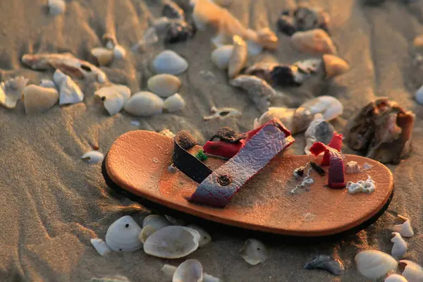 Damaged Children Shoes Shells Beach —  Fotos de Stock