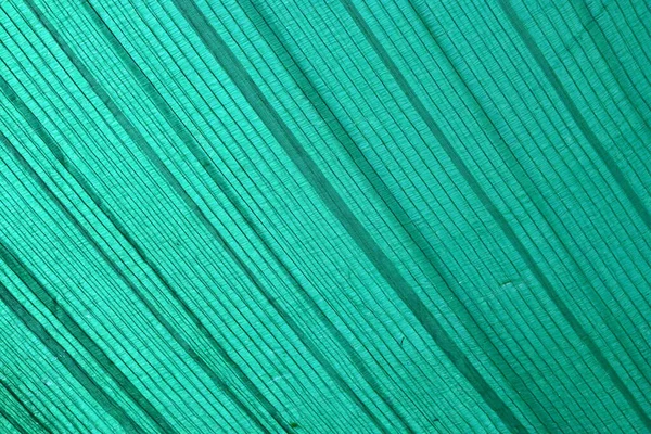 Nahaufnahme Textur Und Detail Des Saran Filters — Stockfoto