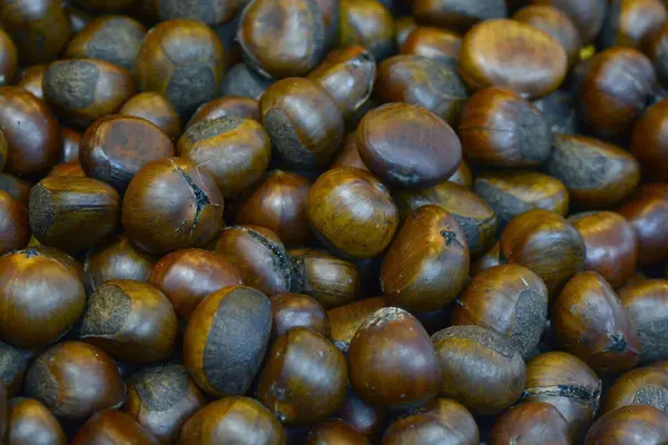 Chestnuts Dark Autumn Background — Stock Photo, Image
