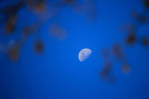 Jour Ciel Avec Lune Astronomie Science — Photo