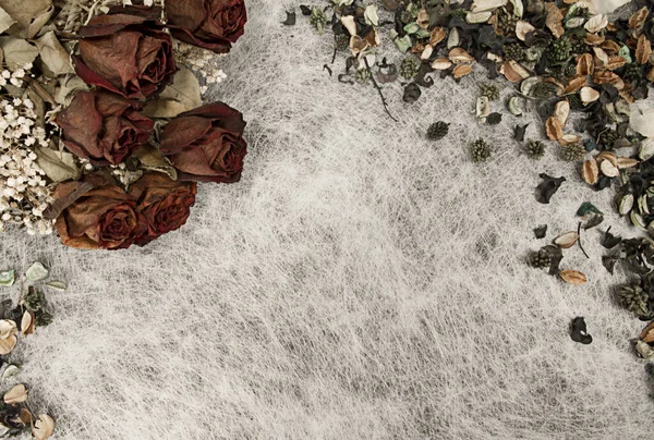 Romantische Achtergrond Zachte Herfstkleuren Met Gedroogde Rozen — Stockfoto