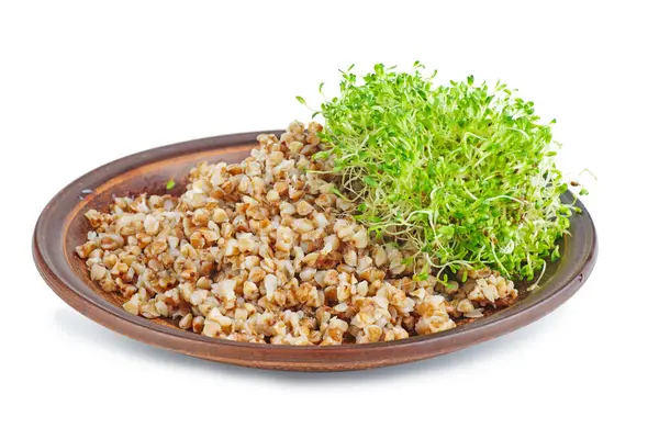Placa Cerámica Con Granos Trigo Sarraceno Cocidos Brotes Alfalfa —  Fotos de Stock
