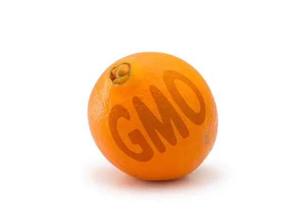 Gmo Orange White Background — Stock Photo, Image
