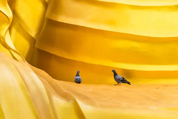 Two Pigeons Walking Big Buddha Standing Chareon Rat Bamrun — Stock Photo, Image