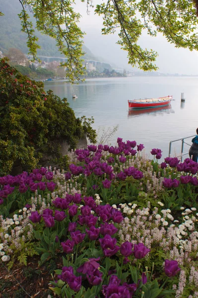 Foto Panorâmica Lago Genebra Suíça — Fotografia de Stock