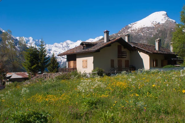 Grand Paradis Park Aosta Valley Italien — Stockfoto
