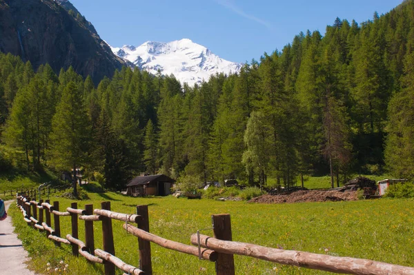 Parque Grand Paradis Valle Aosta Italia —  Fotos de Stock
