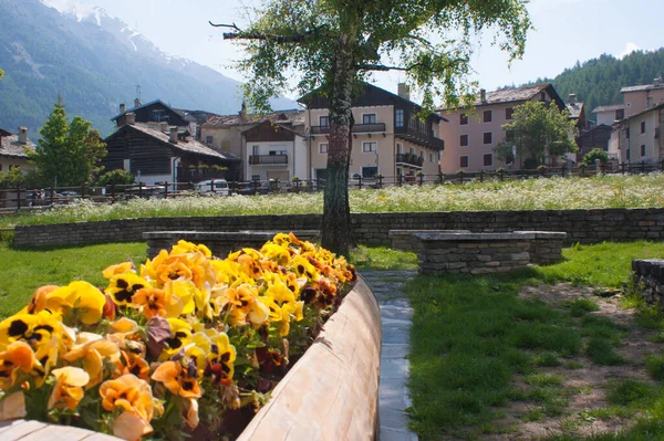 Grand Paradis Park Aostatal Italien — Stockfoto