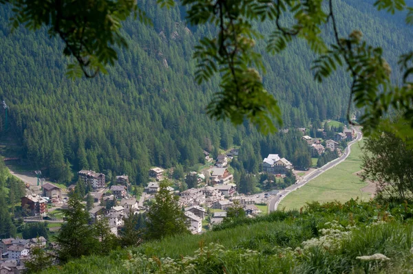 Grand Paradis Park Aosta Valley Italië — Stockfoto
