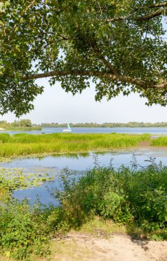 Dnipro Nehri 'nin güzel manzarası, Kyiv.