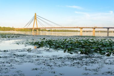 Kyiv 'deki Pivnichniy Köprüsü manzarası