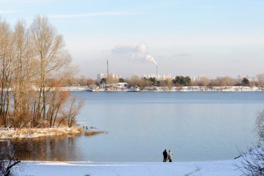 Dinyeper Nehri 'ne yakın Kış Ağaçları